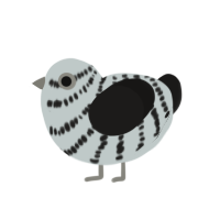 (unnamed), a silver and sable chicken with a bar pattern