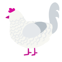 (unnamed), a white and mist chicken with a lace pattern