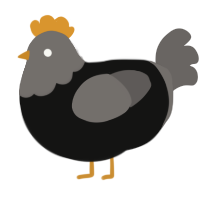 Regular Degular, a black and grey chicken with a head pattern