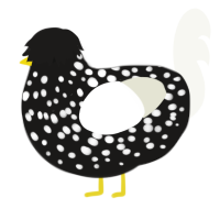 Winter Night, a sable and white chicken with a speckle pattern