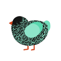 Waow, a black and mint chicken with a double-lace pattern