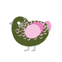 (unnamed), a olive and pink chicken with a half-lace pattern