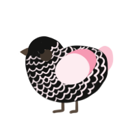 Ekoi, a black and rose chicken with a lace pattern