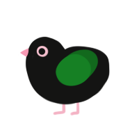 Parrot, a black and leaf chicken