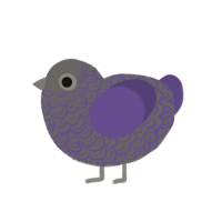 (unnamed), a grey and overcast chicken with a double-lace pattern