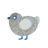 Clouded, a ash and silver chicken with a double-lace pattern