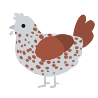 Rusty, a mist and russet chicken with a speckle pattern