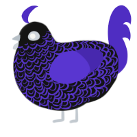 Creed, a black and indigo chicken with a double-lace pattern