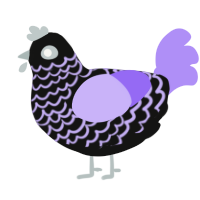 Casper, a black and lilac chicken with a lace pattern