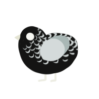 (unnamed), a black and silver chicken with a half-lace pattern