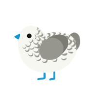 (unnamed), a white and ash chicken with a half-lace pattern