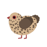 Choc Chip CookieDoh, a beige and bark chicken with a speckle pattern