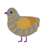 The Extinction, a grey and honey chicken with a bar pattern