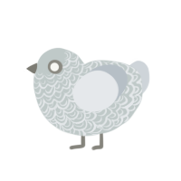 Frigid Fog, a mist chicken with a double-lace pattern