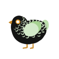 Sprig, a black and gluppy chicken with a half-lace pattern