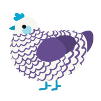 Peaks, a white and overcast chicken with a lace pattern