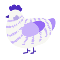 Blossom, a white and lilac chicken with a bar pattern