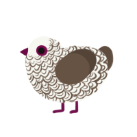 CookiesAndCream, a white and bark chicken with a double-lace pattern