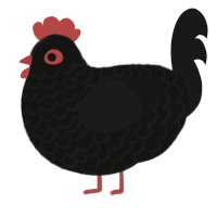 Australorp, a black chicken with a lace pattern