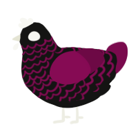 Stares Intensely, a black and wine chicken with a lace pattern