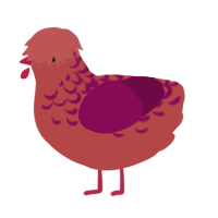 Raspberry, a red and wine chicken with a half-lace pattern