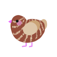 Hazelnut, a russet and beige chicken with a bar pattern