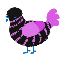 Dark Night, a black and orchid chicken with a bar pattern