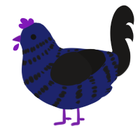 Hecate, a navy and sable chicken with a bar pattern