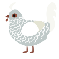 A silver and white chicken with a lace pattern