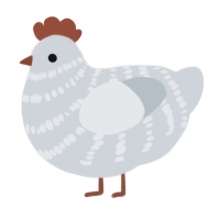 A mist chicken with a bar pattern