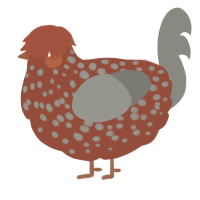 Pedro Ximinez, a russet and ash chicken with a speckle pattern