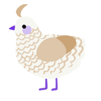 Absolute Winner, a white and beige chicken with a lace pattern