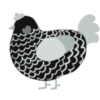 Voidgender, a black and silver chicken with a lace pattern