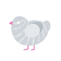 (unnamed), a mist chicken with a bar pattern