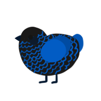 (unnamed), a sable and ultramarine chicken with a lace pattern