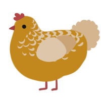 cutest, a ochre and beige chicken with a half-lace pattern