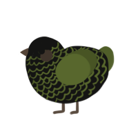 Olives, a black and olive chicken with a lace pattern