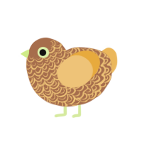 Caramel lime, a brown and honey chicken with a double-lace pattern