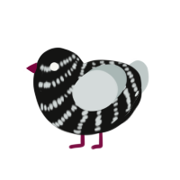 Midnight Red, a black and silver chicken with a bar pattern