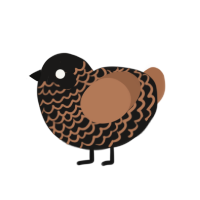 (unnamed), a sable and brown chicken with a lace pattern