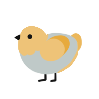 Neru, a silver and yellow chicken with a head pattern