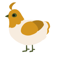 (unnamed), a cream and ochre chicken with a head pattern