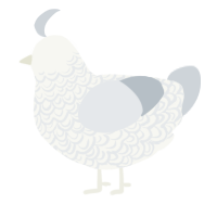 (unnamed), a white and mist chicken with a double-lace pattern