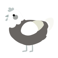 Orxa, a grey and white chicken with a head pattern