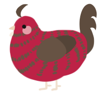 Lychee, a crimson and bark chicken with a bar pattern