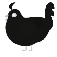 xxy, a black chicken with a double-lace pattern