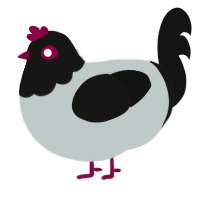 Nevermind, a silver and black chicken with a head pattern