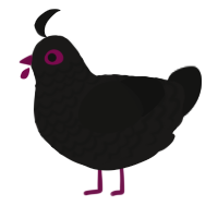 Berry, a sable and black chicken with a lace pattern