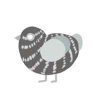 (unnamed), a grey and silver chicken with a bar pattern