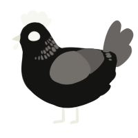 GHOST, a black and grey chicken with a neck-band pattern